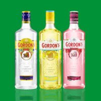 Gordon ( VIP )