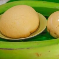 Plaintain Swallow